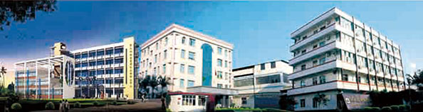 興業(yè)皮革科技股份有限公司在深交所成功上市（1992年，公司參股興業(yè)皮革廠，成為主要股東之一）。